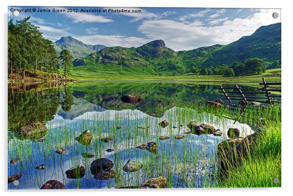 Blea Tarn,Lake District Acrylic by Jamie Green