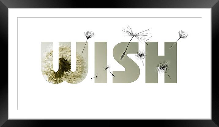 Make A Wish Framed Mounted Print by J Biggadike