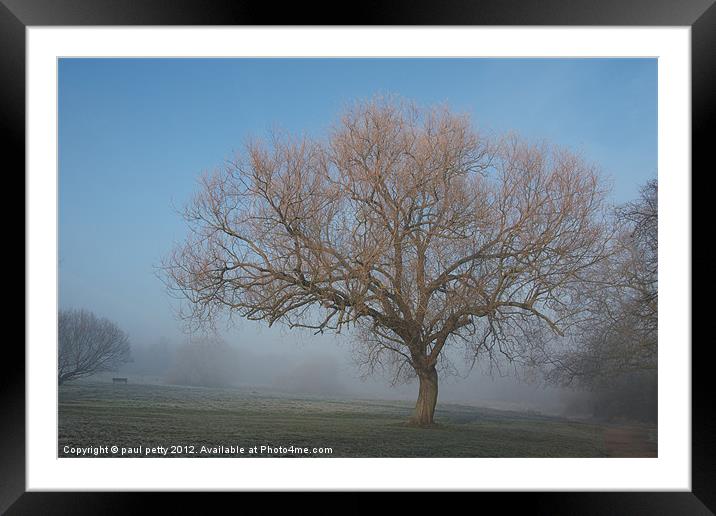 Misty Tree Framed Mounted Print by paul petty