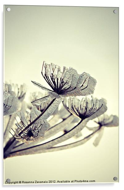 Winter Frost. Acrylic by Rosanna Zavanaiu