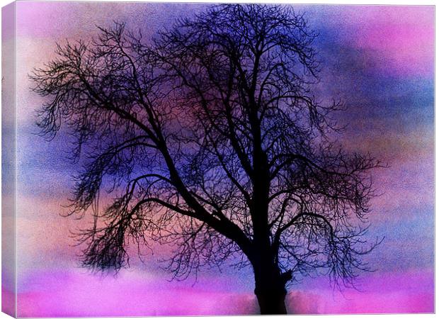 tree of colours Canvas Print by carin severn