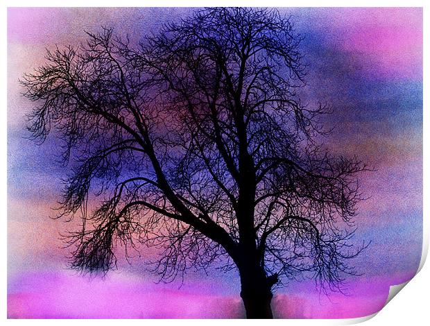 tree of colours Print by carin severn