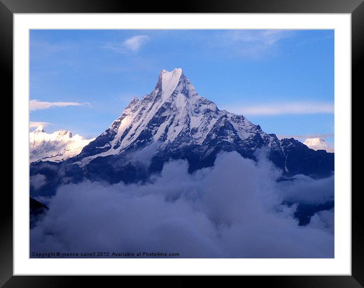 Macchapucchre (Fishtail) Mountain, Nepal Himalayas Framed Mounted Print by yvonne & paul carroll