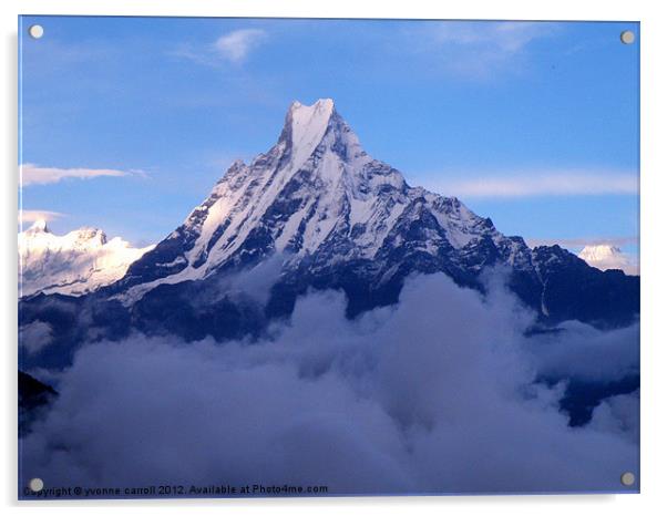 Macchapucchre (Fishtail) Mountain, Nepal Himalayas Acrylic by yvonne & paul carroll