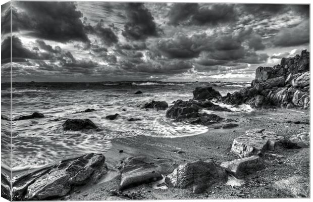 Seascape Canvas Print by Tracey Whitefoot