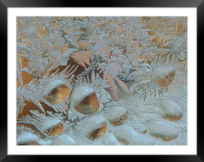 Sunrise through a frosty window  Framed Mounted Print by Donna-Marie Parsons
