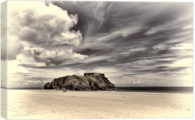 St Catherines Island 4 Canvas Print by Steve Purnell
