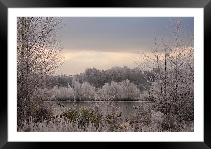 Winter arrives Framed Mounted Print by Dawn Cox