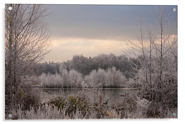 Winter arrives Acrylic by Dawn Cox