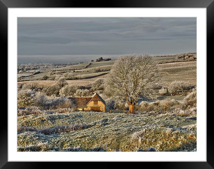 frosty day 1 Framed Mounted Print by carl blake