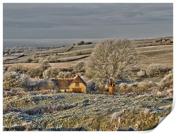 frosty day 1 Print by carl blake