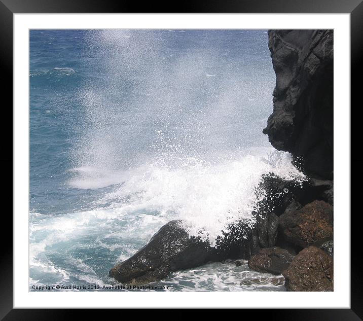 Escape from the sea Framed Mounted Print by Avril Harris