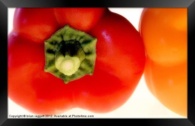 Red Pepper Yellow pepper,Red Pepper Yellow pepper Framed Print by Brian  Raggatt
