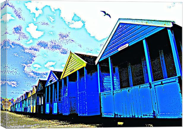Beach huts with seagull Canvas Print by Janet Tate