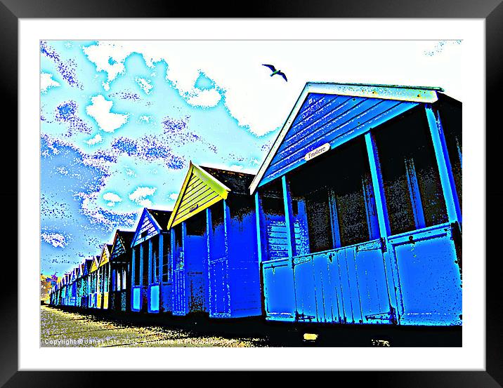 Beach huts with seagull Framed Mounted Print by Janet Tate