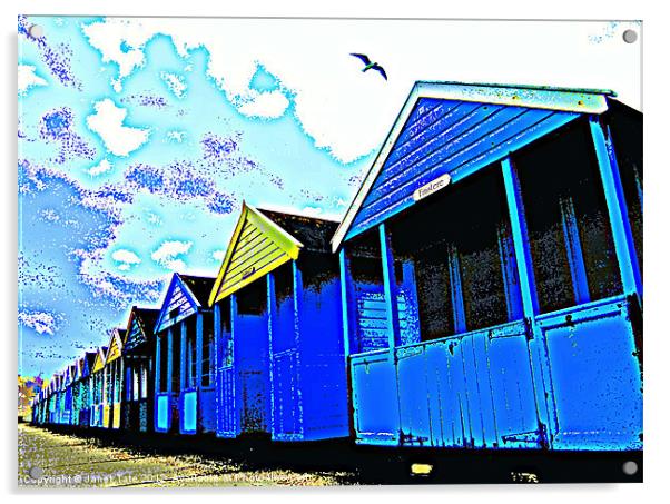 Beach huts with seagull Acrylic by Janet Tate