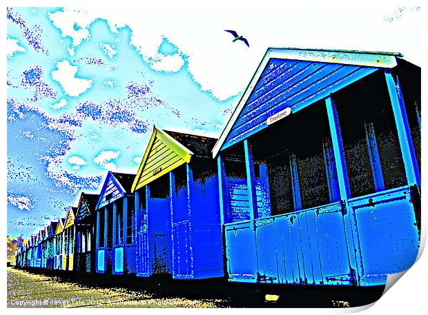 Beach huts with seagull Print by Janet Tate