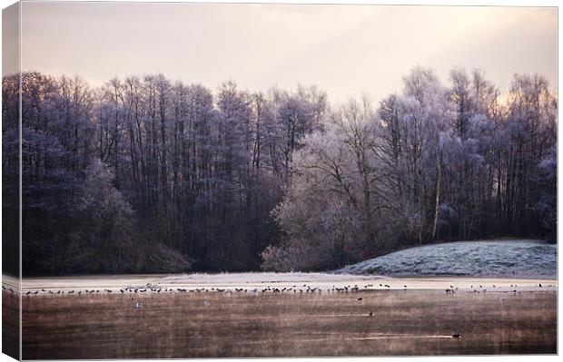 Frosty lake at sevenoaks wildlife reserve Canvas Print by Dawn Cox