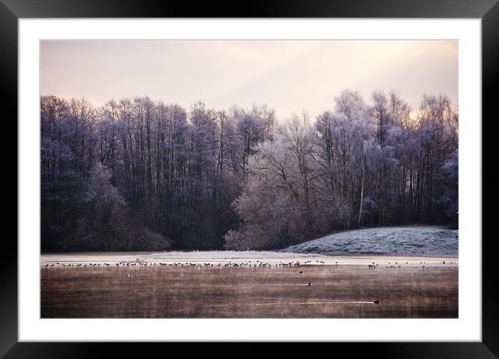Frosty lake at sevenoaks wildlife reserve Framed Mounted Print by Dawn Cox