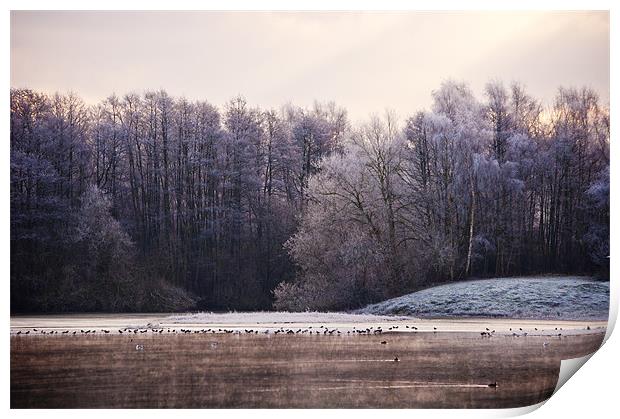 Frosty lake at sevenoaks wildlife reserve Print by Dawn Cox