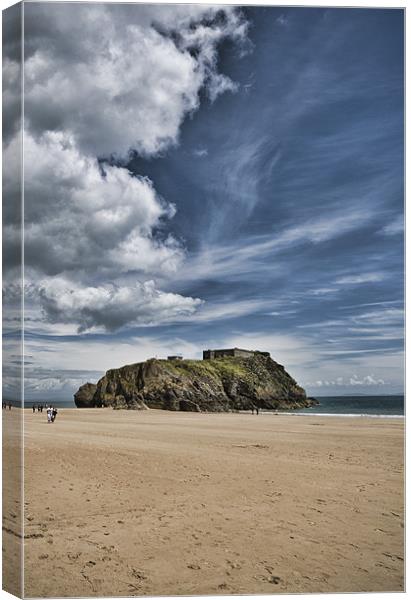 St Catherines Island 7 Canvas Print by Steve Purnell