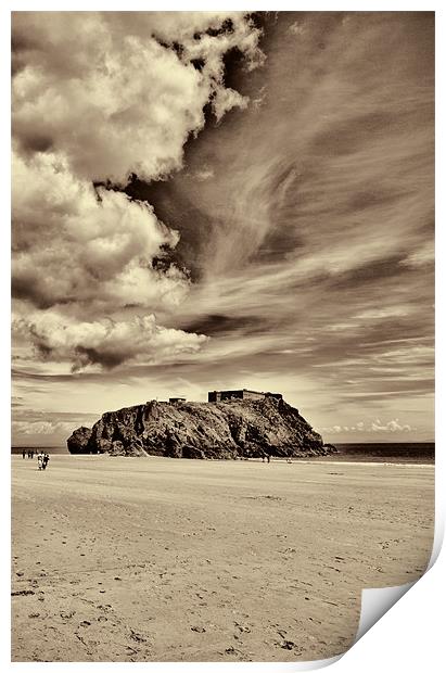 St Catherines Island 8 Print by Steve Purnell
