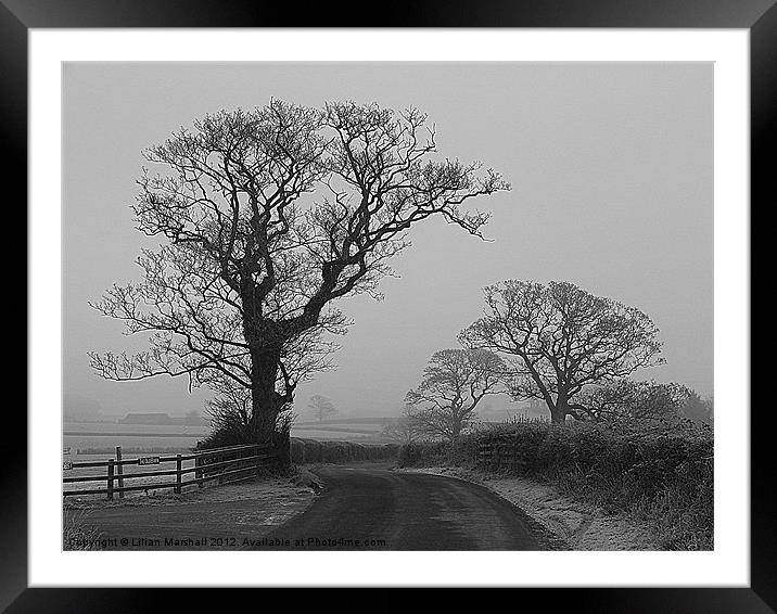 Fog and Frost. Framed Mounted Print by Lilian Marshall