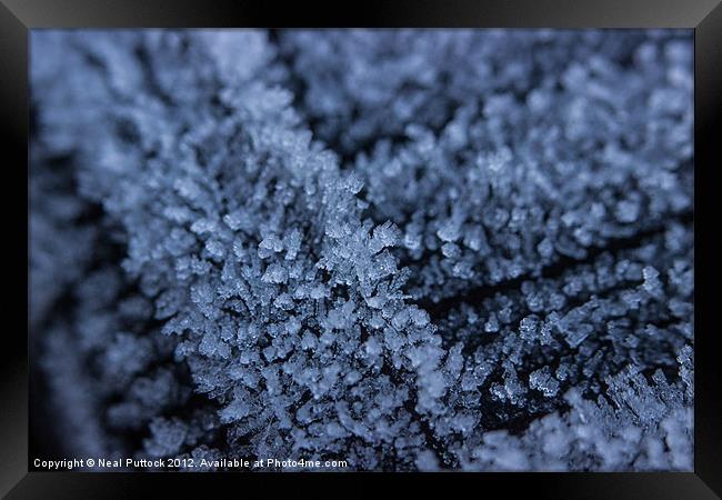 Frost Framed Print by Neal P