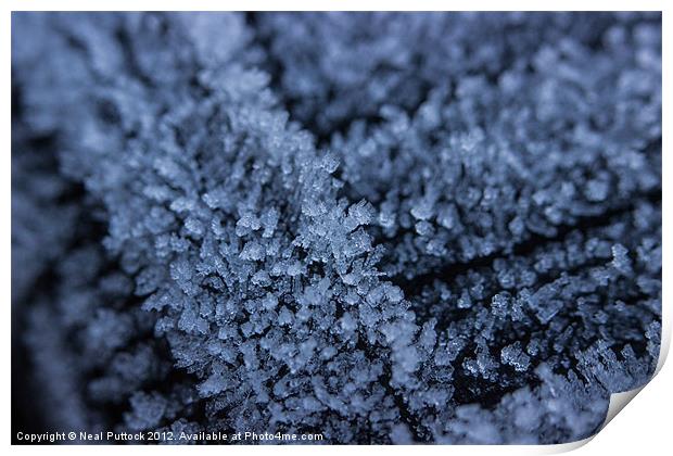 Frost Print by Neal P