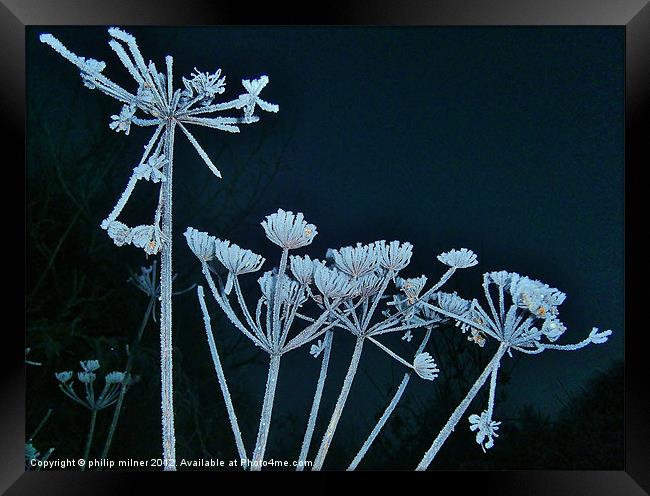 Frost Against The Sky Framed Print by philip milner