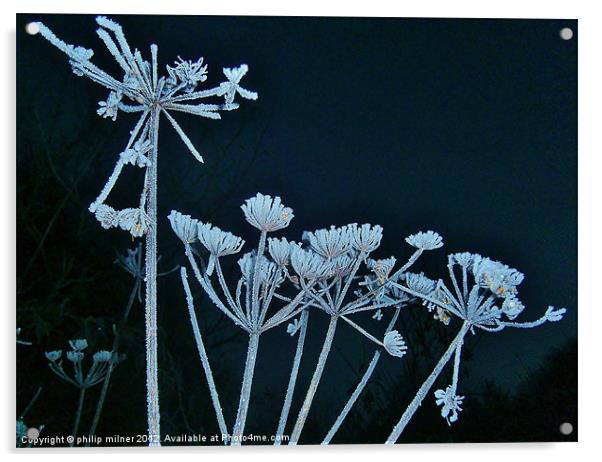 Frost Against The Sky Acrylic by philip milner