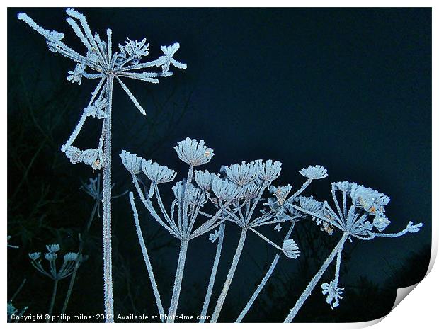 Frost Against The Sky Print by philip milner
