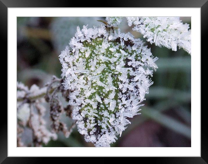 Crystal Heart Framed Mounted Print by carin severn