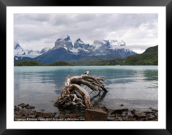 Torres del Paine Framed Mounted Print by yvonne & paul carroll