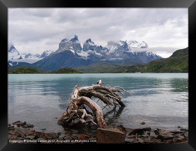 Torres del Paine Framed Print by yvonne & paul carroll
