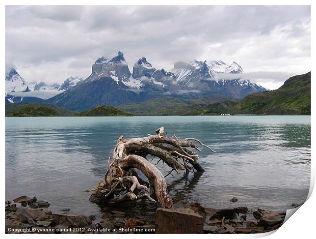 Torres del Paine Print by yvonne & paul carroll