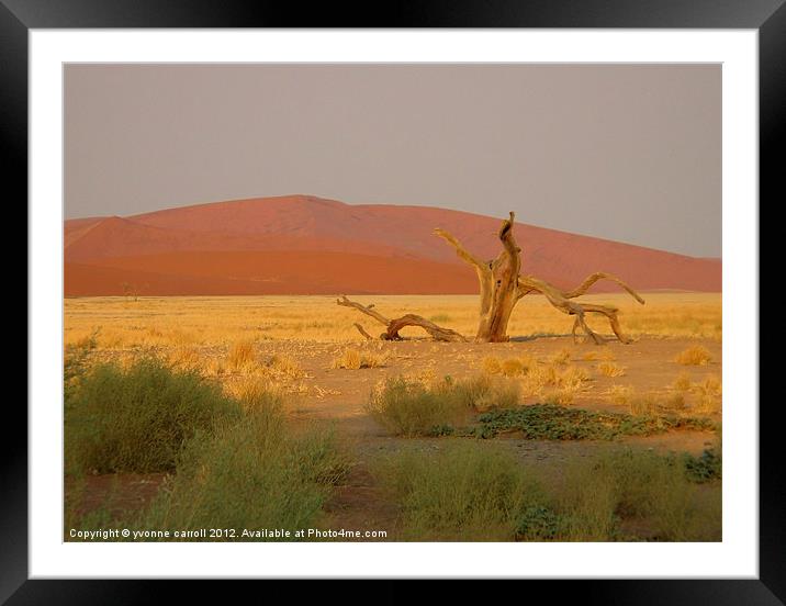 Sossusvlei sand dunes, Namibia Framed Mounted Print by yvonne & paul carroll