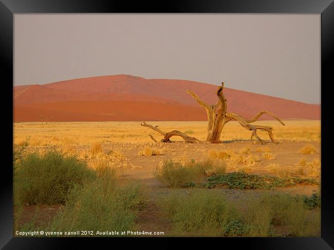 Sossusvlei sand dunes, Namibia Framed Print by yvonne & paul carroll