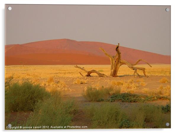 Sossusvlei sand dunes, Namibia Acrylic by yvonne & paul carroll