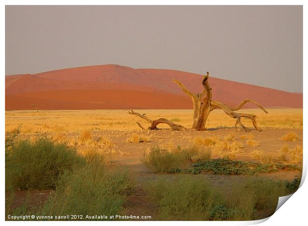 Sossusvlei sand dunes, Namibia Print by yvonne & paul carroll