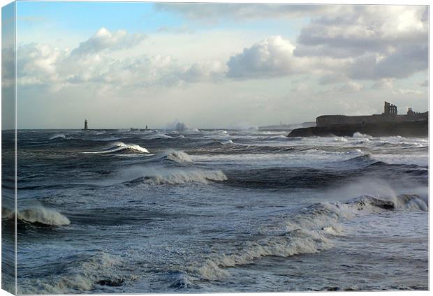 Coast - Tynemouth big sea running  Canvas Print by David Turnbull