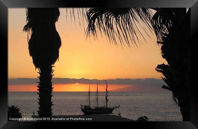 Sunsetting on the Tall Ship Framed Print by Avril Harris