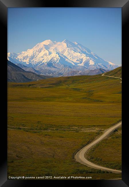 The road to McKinlay, Denali Framed Print by yvonne & paul carroll