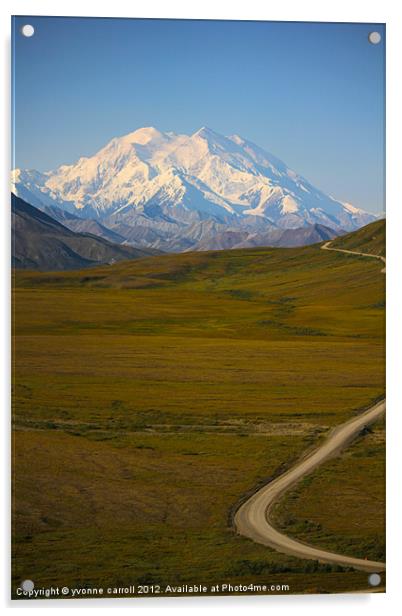 The road to McKinlay, Denali Acrylic by yvonne & paul carroll