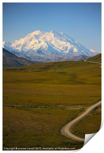 The road to McKinlay, Denali Print by yvonne & paul carroll