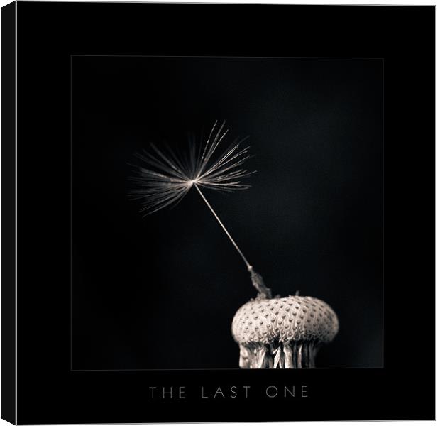 The Last One - Bordered Canvas Print by Ivan Yonkov