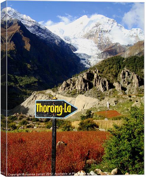 To the Thorong-La Pass, Nepal Canvas Print by yvonne & paul carroll