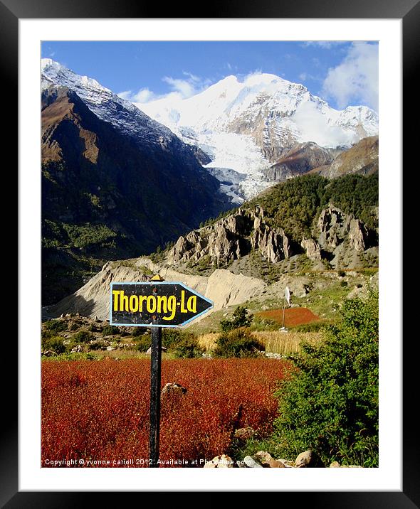 To the Thorong-La Pass, Nepal Framed Mounted Print by yvonne & paul carroll