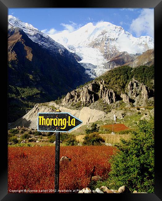 To the Thorong-La Pass, Nepal Framed Print by yvonne & paul carroll