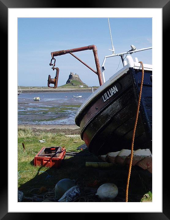 Coast - Holy island castle and pots  Framed Mounted Print by David Turnbull